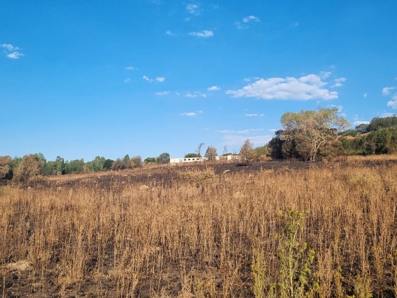 Corner Location: Prime Property at Eye of Africa's New Exit - Photo 10