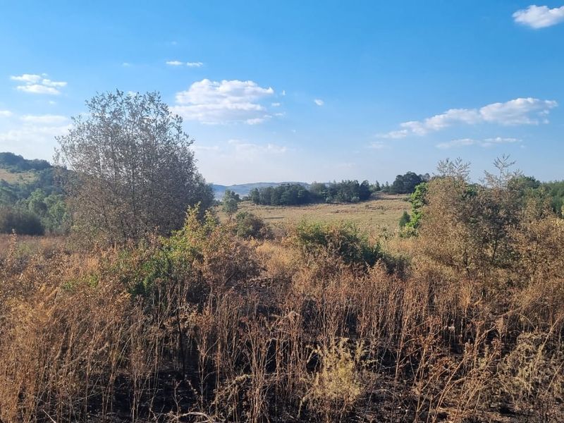 Corner Location: Prime Property at Eye of Africa's New Exit - Photo 8