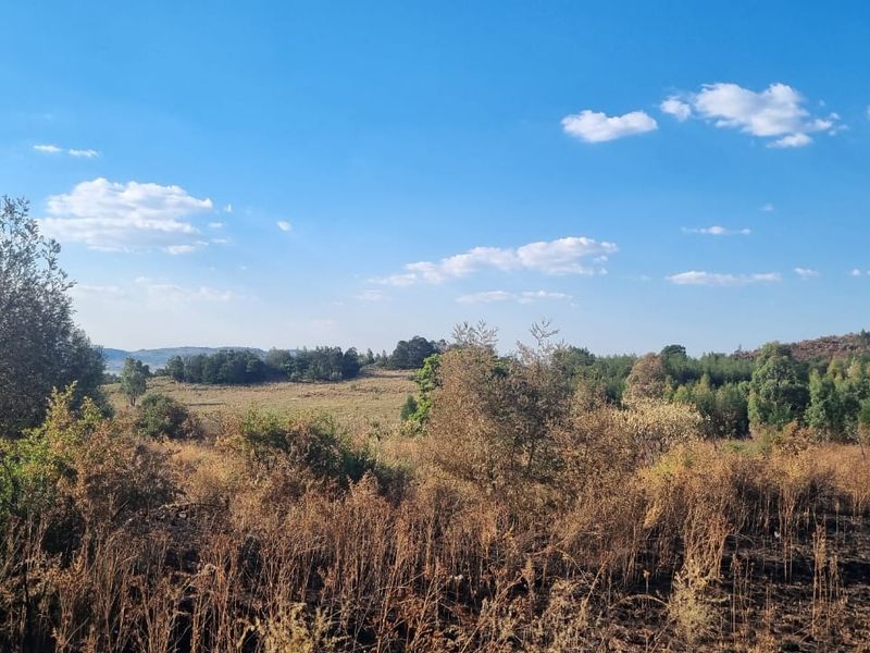 Corner Location: Prime Property at Eye of Africa's New Exit - Photo 7