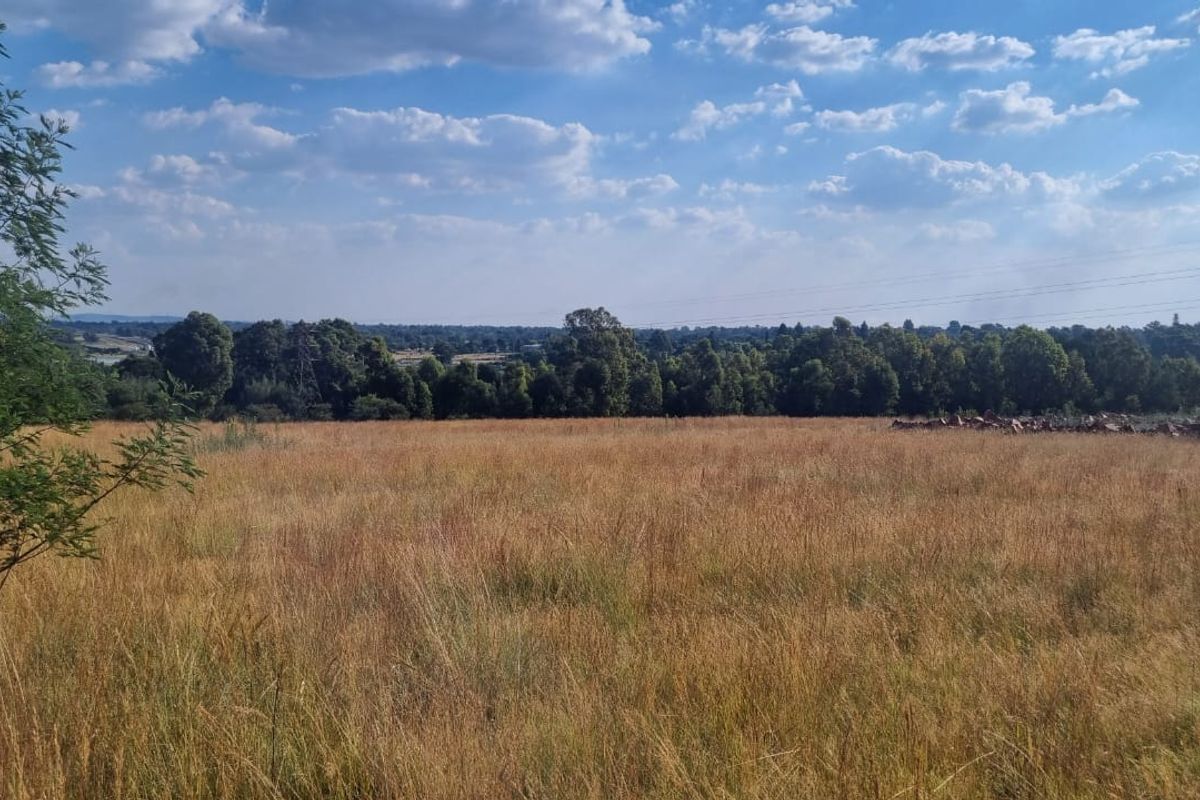 Strategic Agricultural Land Near Eye of Africa – Ideal for Development or Agribusiness - Photo 3