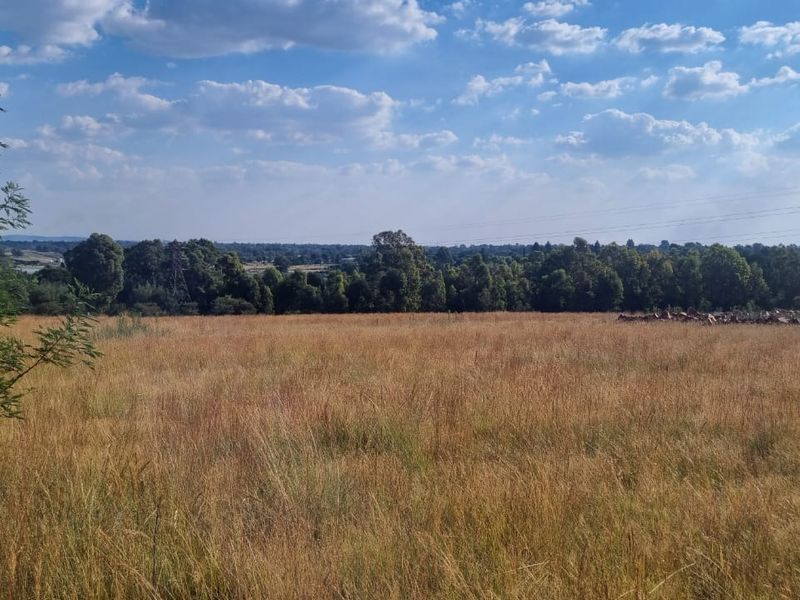 Strategic Agricultural Land Near Eye of Africa – Ideal for Development or Agribusiness - Photo 3