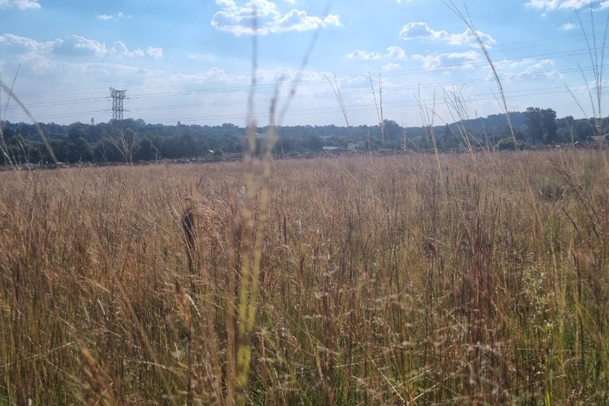 Strategic Agricultural Land Near Eye of Africa – Ideal for Development or Agribusiness - Photo 5