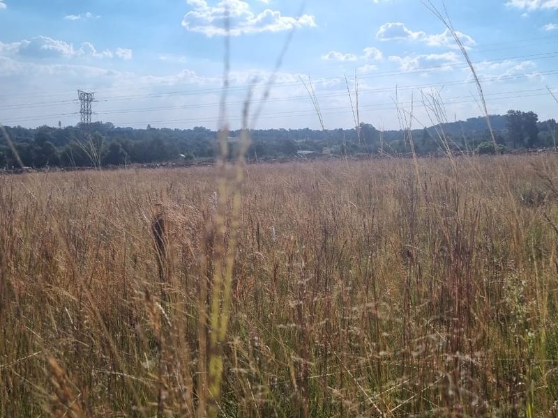 Strategic Agricultural Land Near Eye of Africa – Ideal for Development or Agribusiness - Photo 5