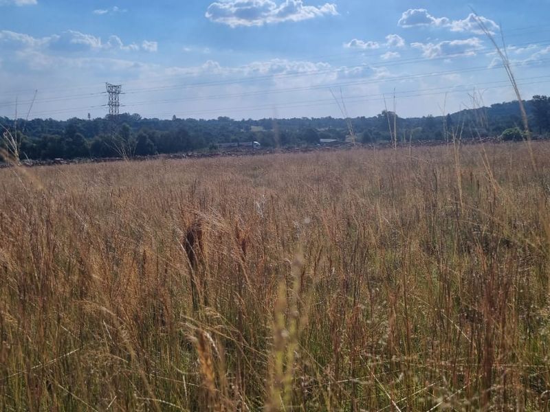 Strategic Agricultural Land Near Eye of Africa – Ideal for Development or Agribusiness - Photo 7