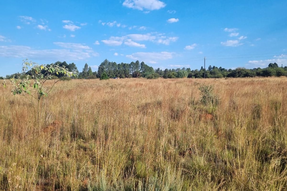 Eikenhof’s Prime Agricultural Land - Photo 3