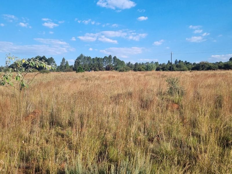 Eikenhof’s Prime Agricultural Land - Photo 3