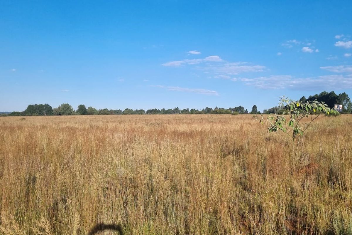 Eikenhof’s Prime Agricultural Land - Photo 4