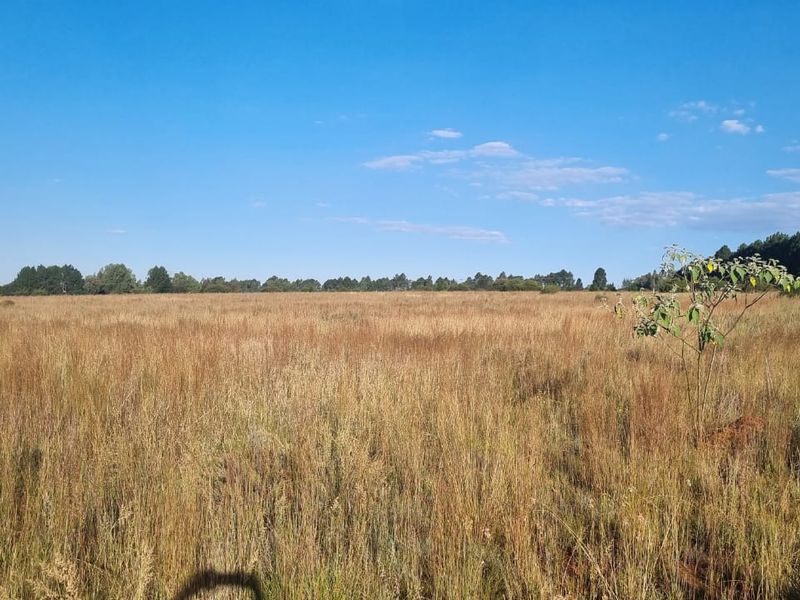Eikenhof’s Prime Agricultural Land - Photo 4