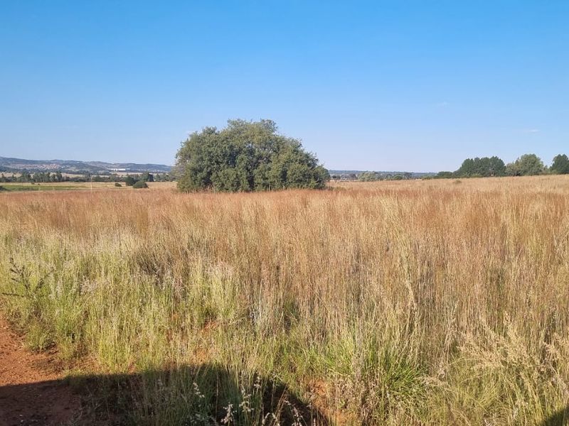 Eikenhof’s Prime Agricultural Land - Photo 10