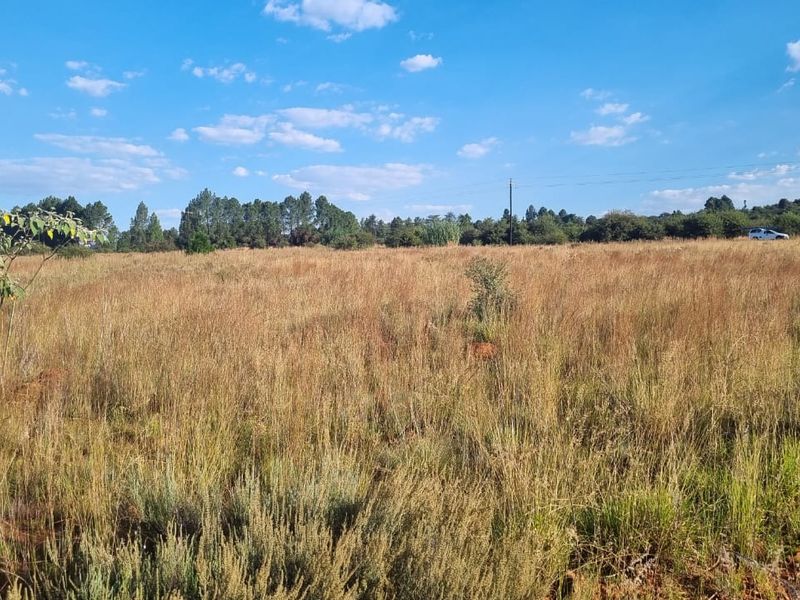 Eikenhof’s Prime Agricultural Land - Photo 9