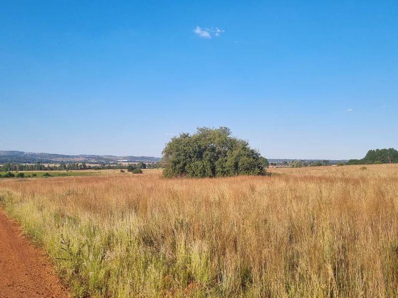 Eikenhof’s Prime Agricultural Land - Photo 8
