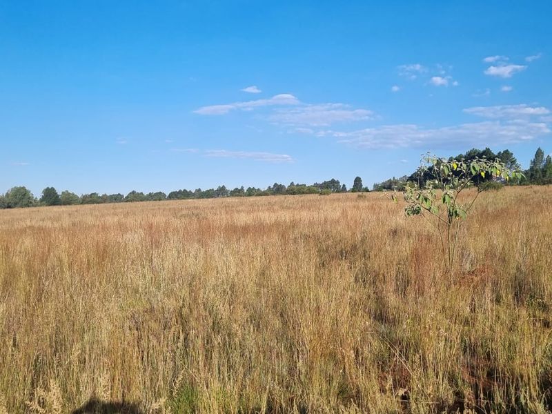 Eikenhof’s Prime Agricultural Land - Photo 7