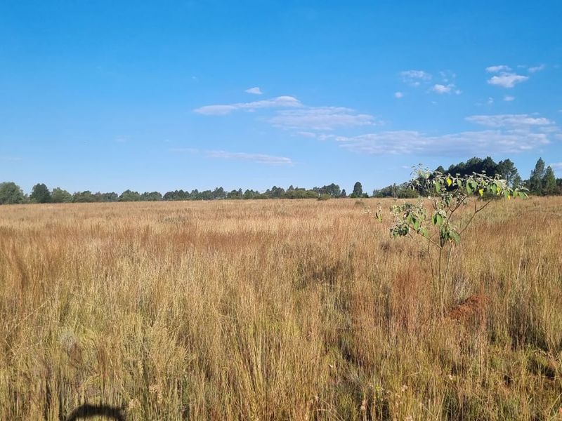 Eikenhof’s Prime Agricultural Land - Photo 6