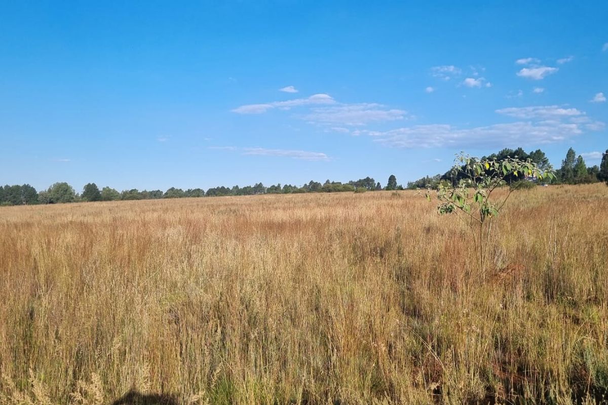 Eikenhof’s Prime Agricultural Land - Photo 2