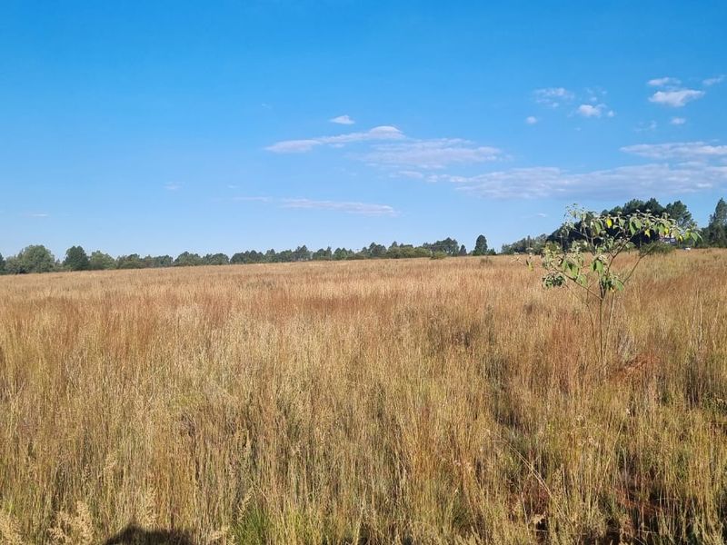 Eikenhof’s Prime Agricultural Land - Photo 2