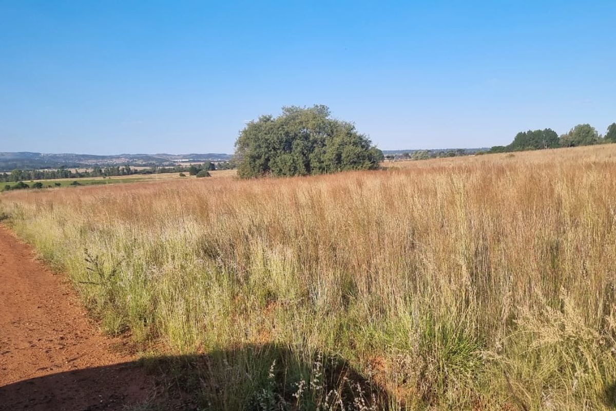 Eikenhof’s Prime Agricultural Land - Photo 5