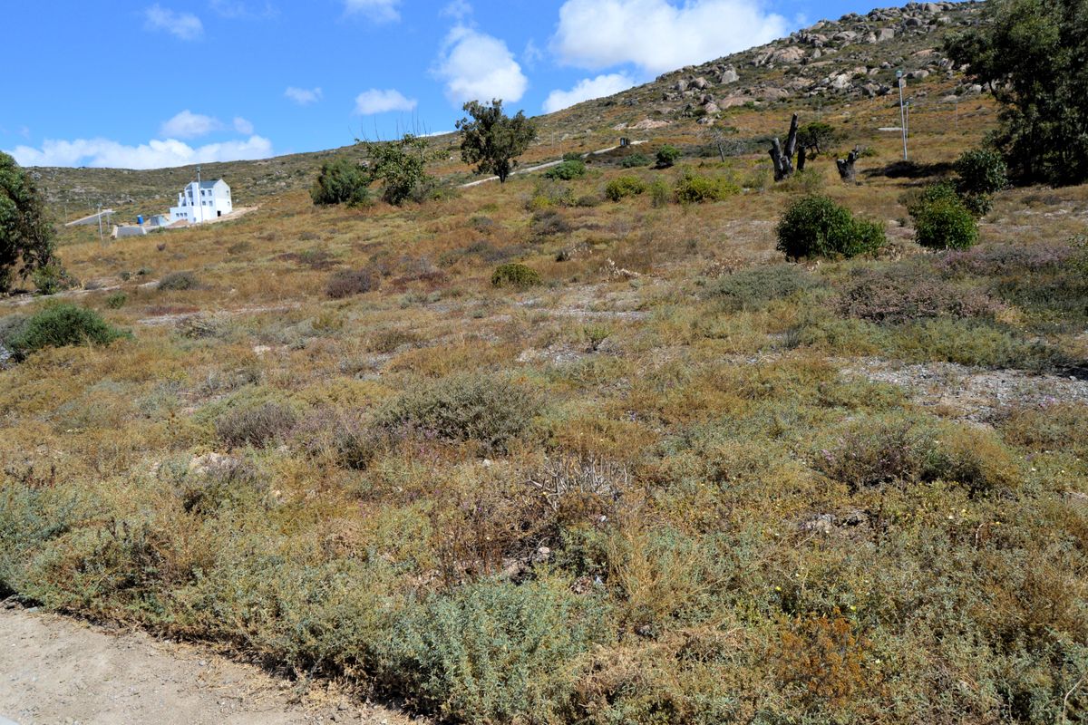 St Helena Bay -Kapteinskloof new Development  Vacant land for sale - Photo 4