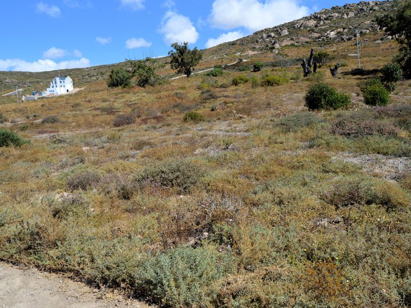 St Helena Bay -Kapteinskloof new Development  Vacant land for sale - Photo 4