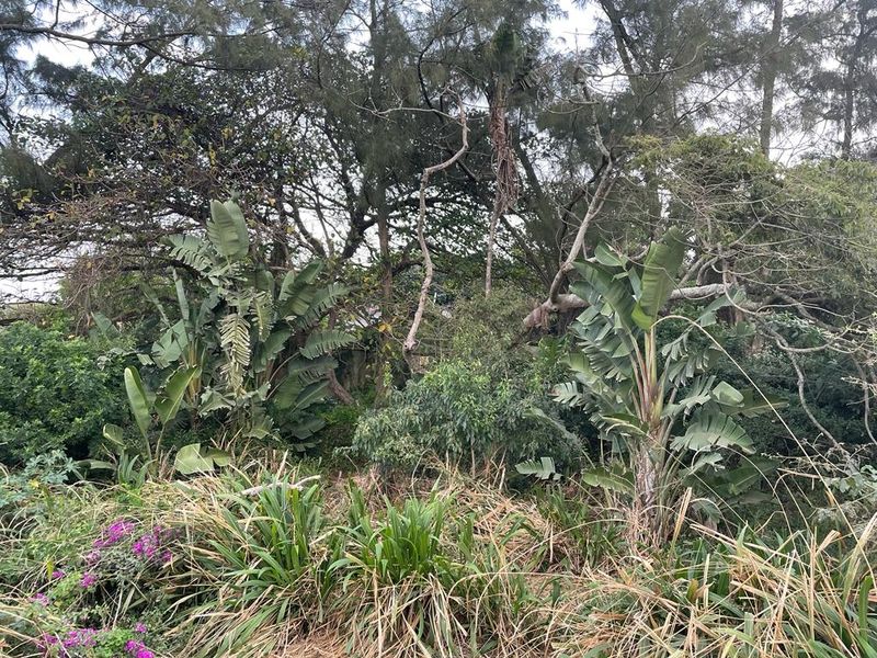 Tugela Mouth vacant land across the road from the beach - Photo 9