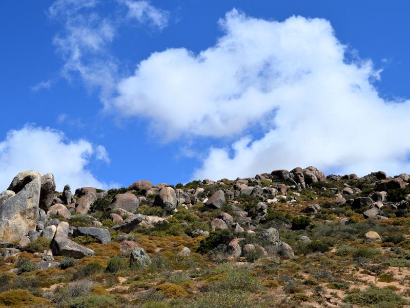 St Helena Bay - Vacant land for sale - Photo 9