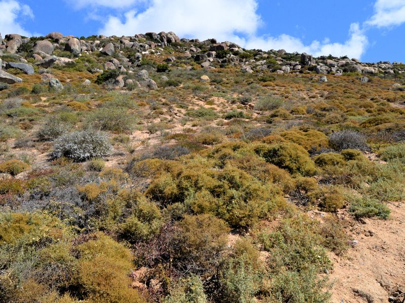 St Helena Bay - Vacant land for sale - Photo 8