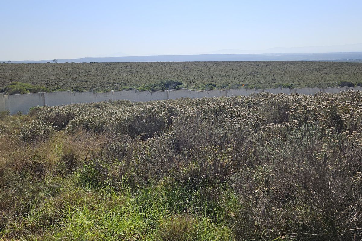 750m2 Slice of paradise! - Photo 2