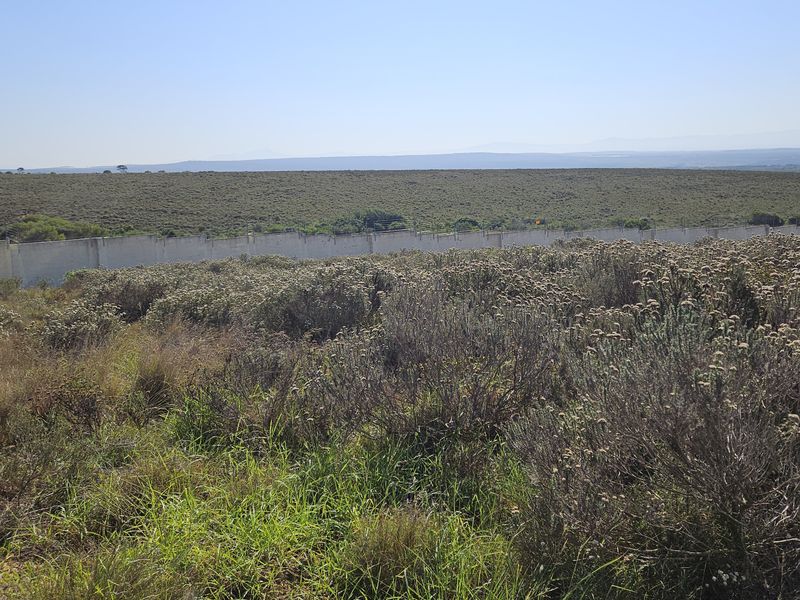 750m2 Slice of paradise! - Photo 2