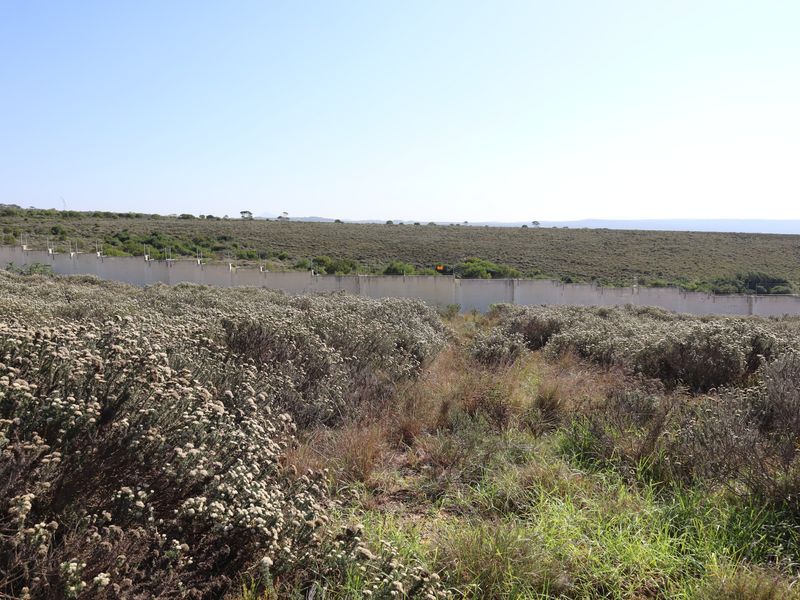 750m2 Slice of paradise! - Photo 10