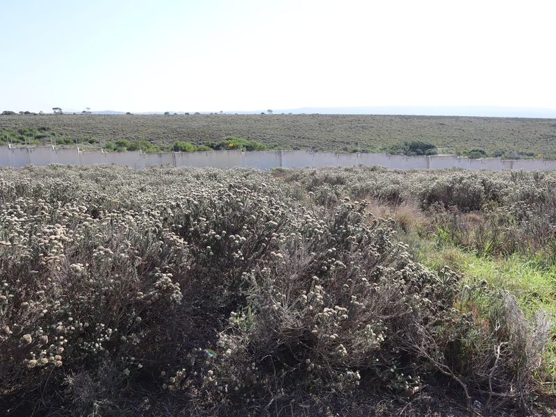 750m2 Slice of paradise! - Photo 9