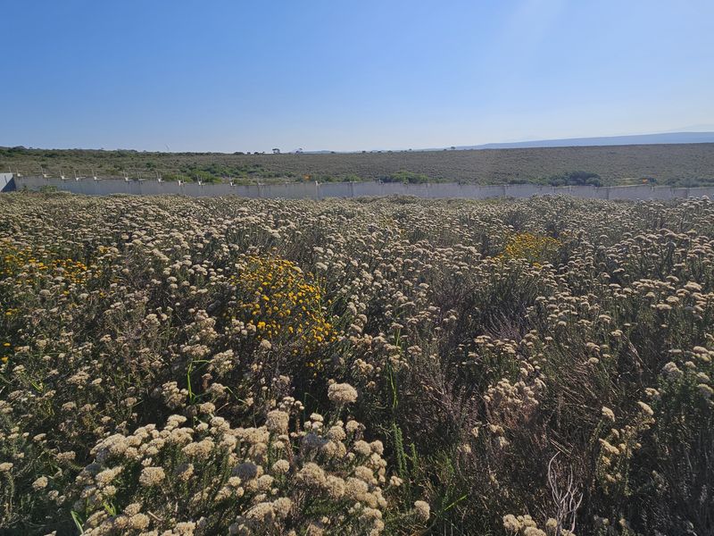 750m2 Slice of paradise! - Photo 8