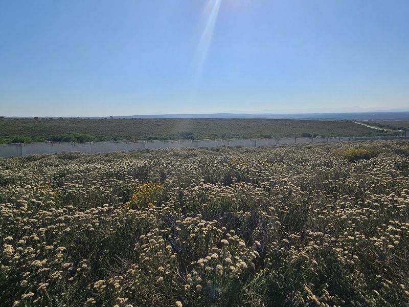 750m2 Slice of paradise! - Photo 7