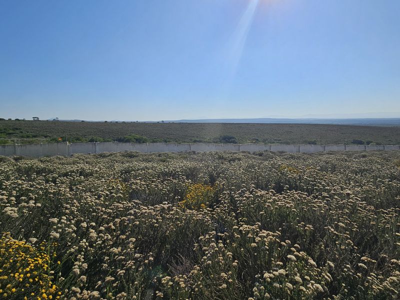 750m2 Slice of paradise! - Photo 6