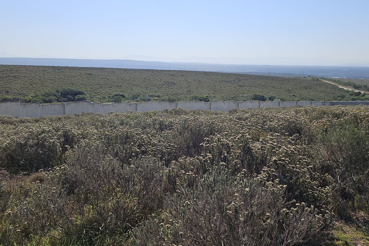 750m2 Slice of paradise! - Photo 3