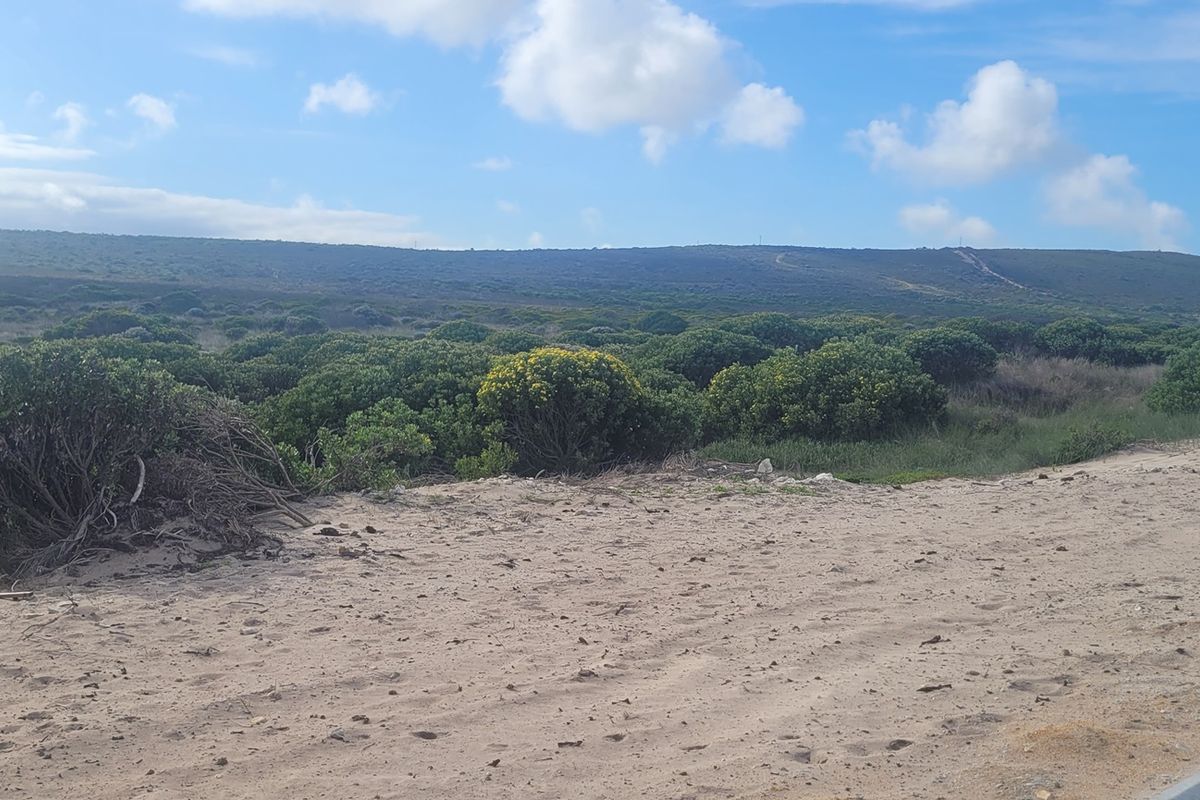 A view of the natural landscape and indigenous vegetation on the vacant residential land.