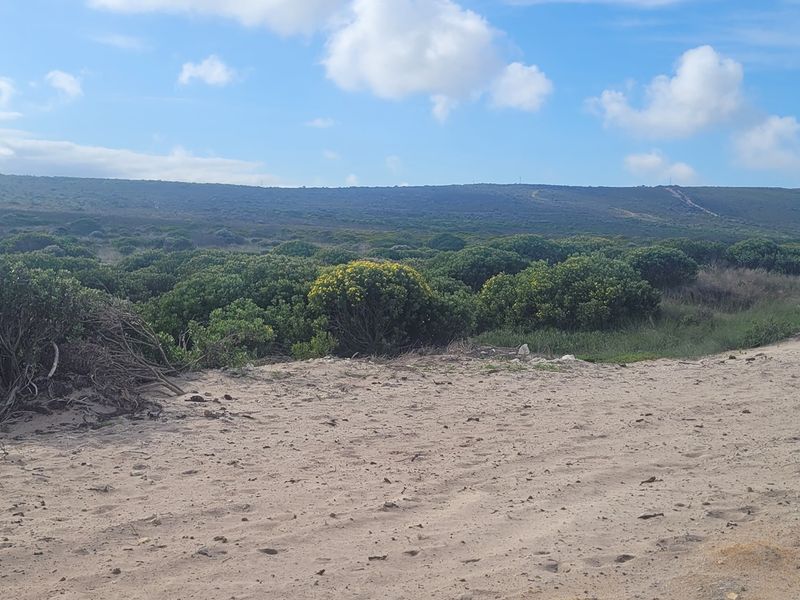 A view of the natural landscape and indigenous vegetation on the vacant residential land.