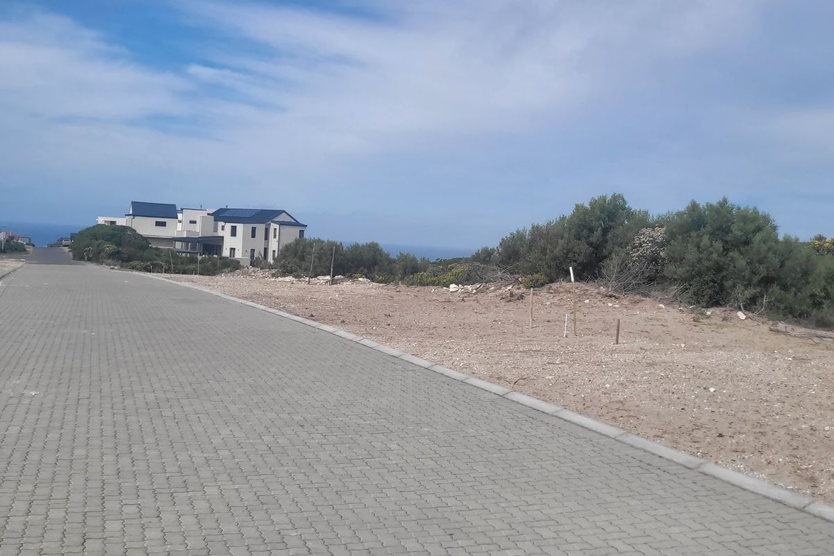 A view of the paved street and adjacent undeveloped residential land in a coastal neighborhood setting.