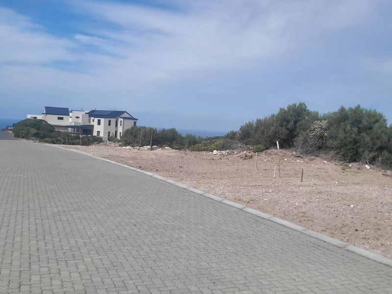 A view of the paved street and adjacent undeveloped residential land in a coastal neighborhood setting.