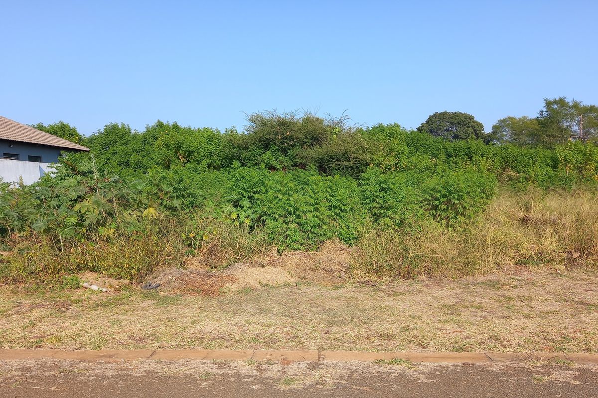 Simply outstanding opportunity for a Developer ! - Photo 2