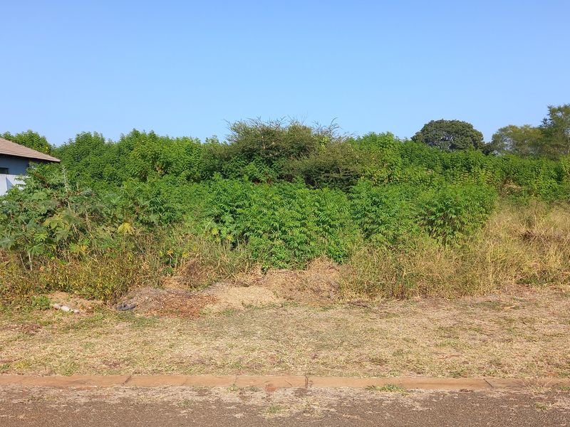 Simply outstanding opportunity for a Developer ! - Photo 2