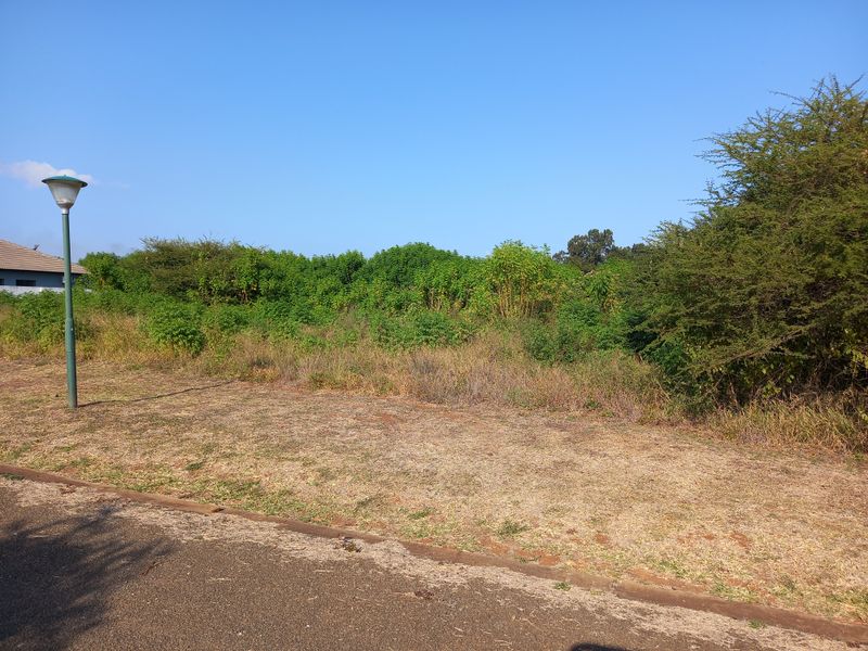 Simply outstanding opportunity for a Developer ! - Photo 1