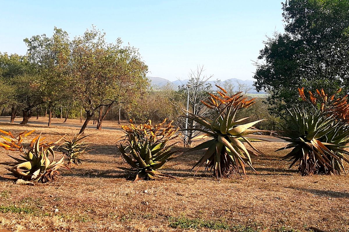 Simply outstanding opportunity for a Developer ! - Photo 3