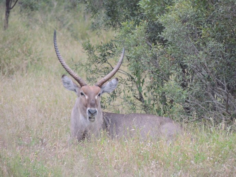 Fabulous retirement opportunity - Photo 10