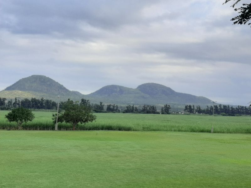 Fabulous retirement opportunity - Photo 7