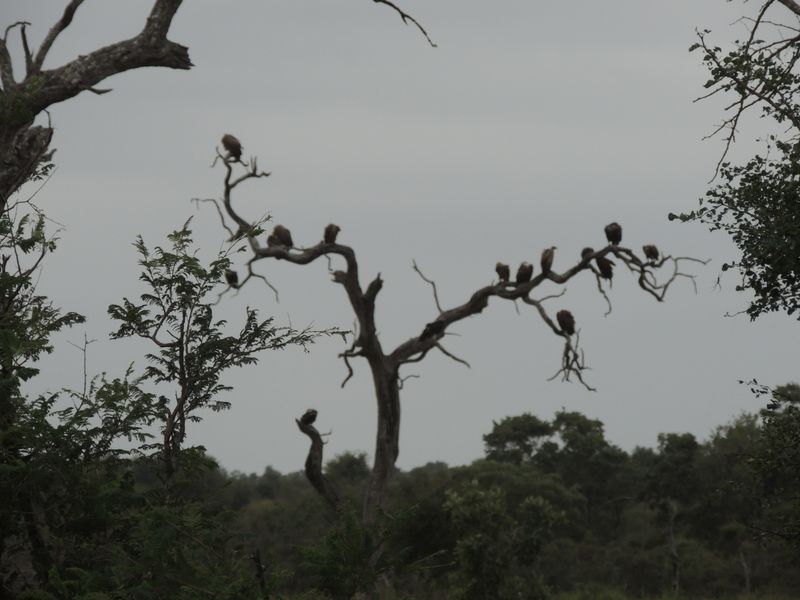 Fabulous retirement opportunity - Photo 9