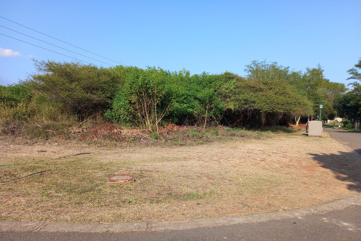 Fabulous retirement opportunity - Photo 2