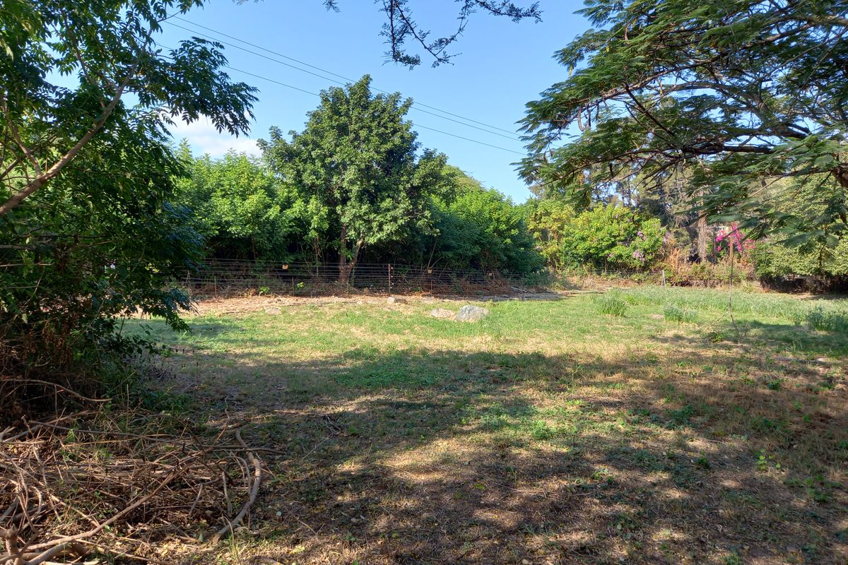 Fabulous retirement opportunity - Photo 3