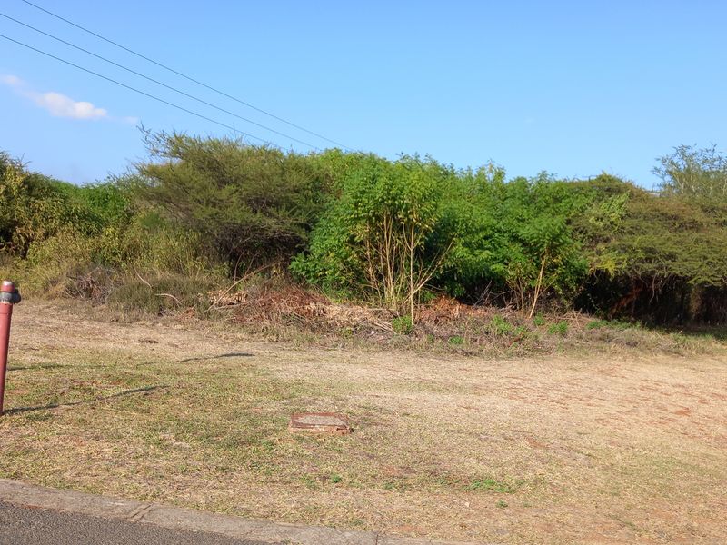 Fabulous retirement opportunity - Photo 6