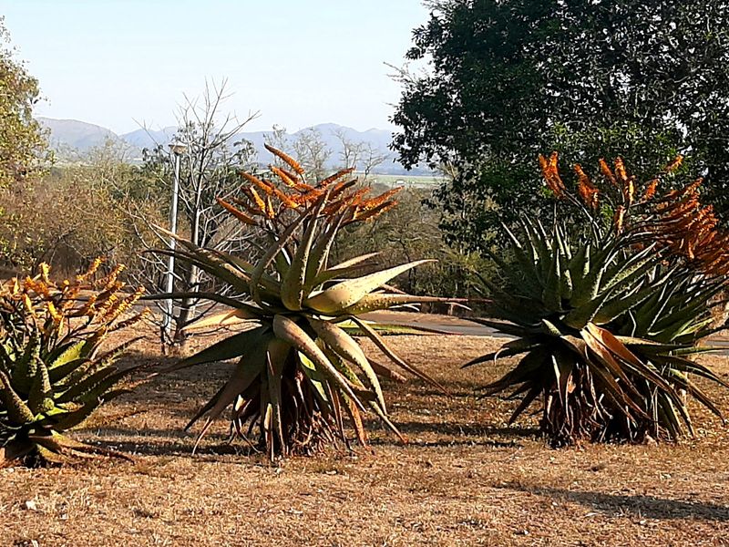 Country living feeling - Photo 10