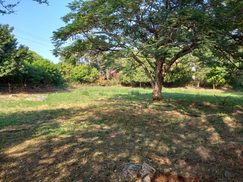 Country living feeling - Photo 3