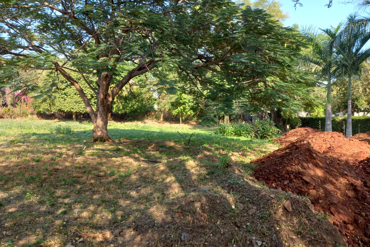 Country living feeling - Photo 5